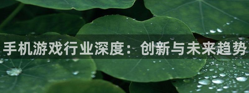 杜邦娱乐集团：手机游戏行业深度：创新与未来趋势