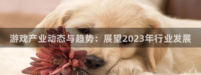 杜邦娱乐平台注册资金多少：游戏产业动态与趋势：展望2023年