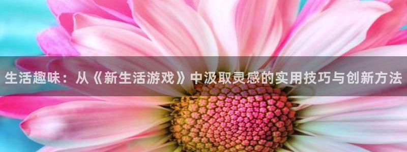 杜邦娱乐平台登录线路：生活趣味：从《新生活游戏》中汲取灵感的