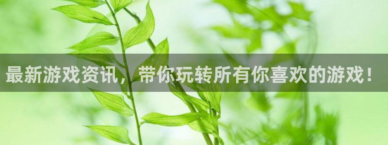 杜邦娱乐平台注册资金多少：最新游戏资讯，带你玩转所有你喜欢的