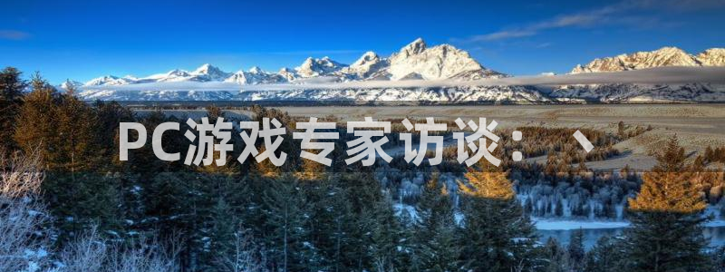 杜邦娱乐官网：PC游戏专家访谈：丶
