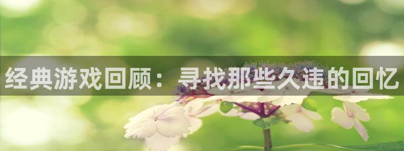 杜邦娱乐怎么注册：经典游戏回顾：寻找那些久违的回忆