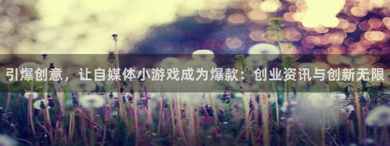 杜邦娱乐Ii：引爆创意，让自媒体小游戏成为爆款：创业资讯与创