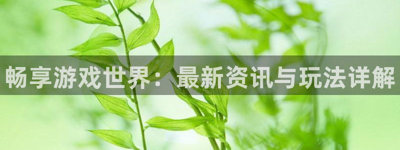 手机杜邦娱乐下载安装：畅享游戏世界：最新资讯与玩法详解