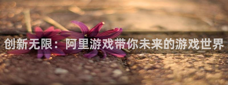 杜邦娱乐注册服务条款：创新无限：阿里游戏带你未来的游戏世界