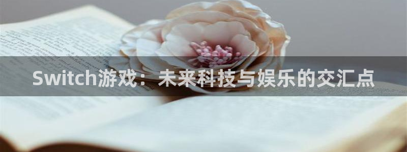 杜邦娱乐佳官网入口入口：Switch游戏：未来科技与娱乐的交