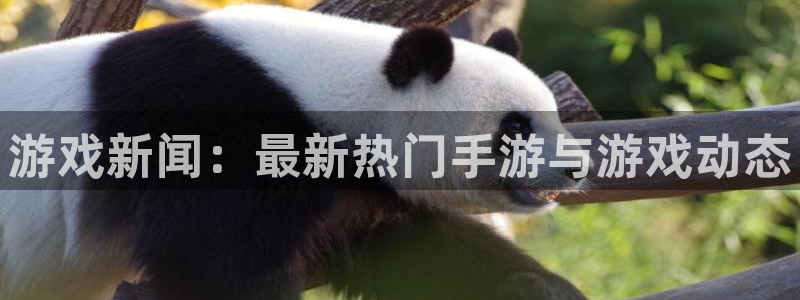 杜邦娱乐app最新版本更新内容详情在哪：游戏新闻：最新热门手