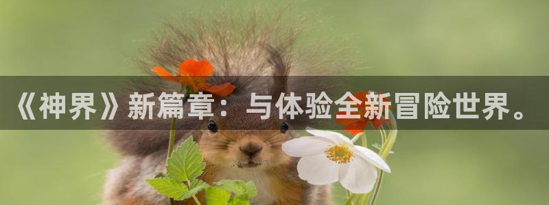 杜邦娱乐嘉675.138最新版本更新内容介绍：《神界》新篇章