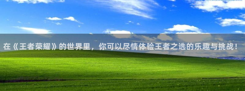 杜邦娱乐app官网入口网址：在《王者荣耀》的世界里，你可以尽