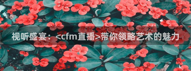 nba比赛直播免费观看直播小九直播：视听盛宴：<cfm直播>带你领略艺术的魅力