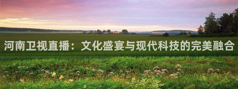 小九体育直播足球：河南卫视直播：文化盛宴与现代科技的完美融合