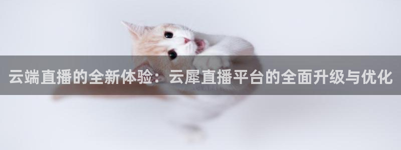 nba直播免费观看直播在线高清小九直播：云端直播的全新体验：云犀直播平台的全面升级与优化