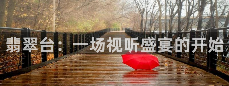 nba直播小九：翡翠台：一场视听盛宴的开始