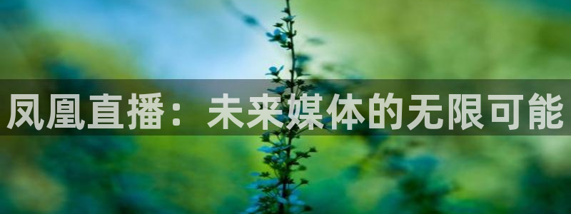 小九nba免费观看：凤凰直播：未来媒体的无限可能