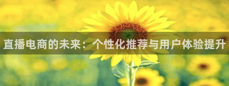 小九直播nba：直播电商的未来：个性化推荐与用户体验提升