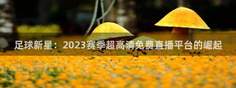 nba直播免费高清直播小九：足球新星：2023赛季超高清免费直播平台的崛起