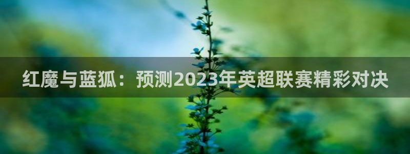 小九视频