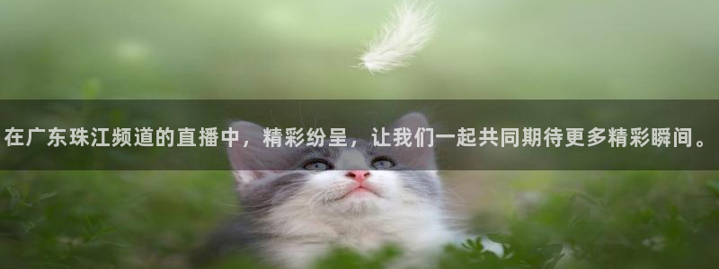 小九直播足球在线观看