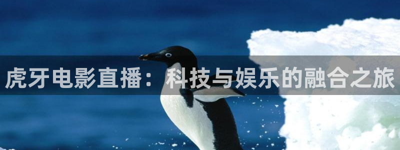 小九直播nba免费观看下载