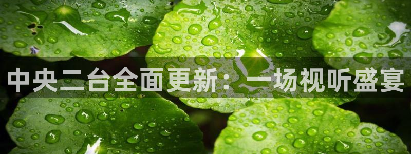 nba直播小九：中央二台全面更新：一场视听盛宴