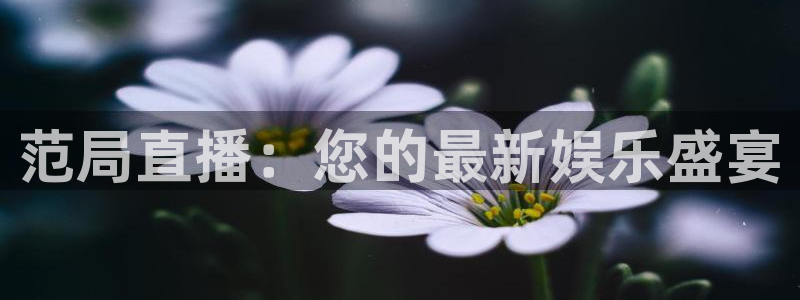 小九乐悠直播nba：范局直播：您的最新娱乐盛宴