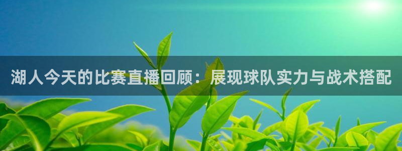 小九直播体育免费直播：湖人今天的比赛直播回顾：展现球队实力与战术搭配