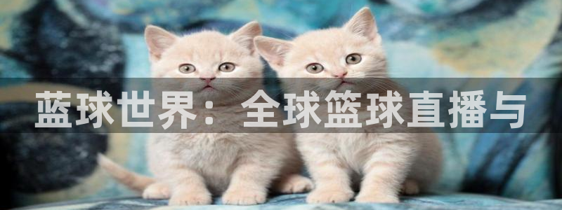 小九的视频：蓝球世界：全球篮球直播与